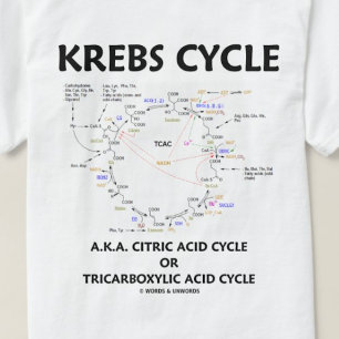 Krebs Cycle (Citric Acid Cycle - Biochemistry) T-Shirt