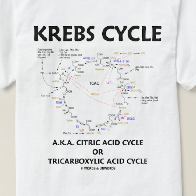 Krebs Cycle (Citric Acid Cycle - Biochemistry) T-Shirt (Krebs cycle tee for those who know that it's one of the most important organic cycles for our energy)