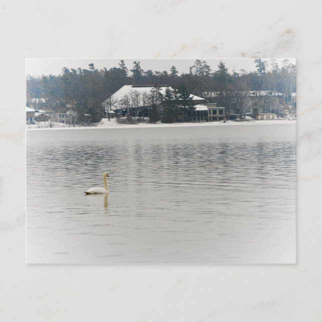 Kresge Auditorium, Interlochen Michigan Postcard (Front)