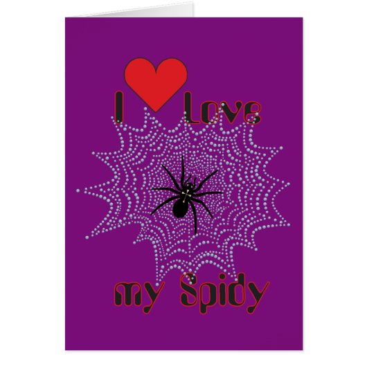 Kreuzspinne im Netz (Front)