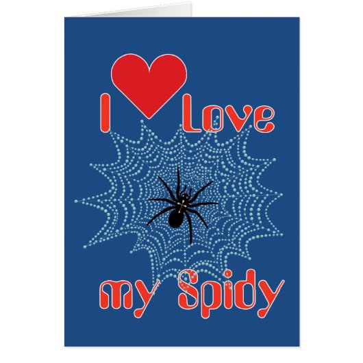 Kreuzspinne im Netz (Front)