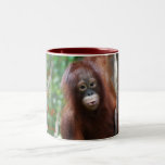 Krista Orangutan Fan Club Mug at Zazzle