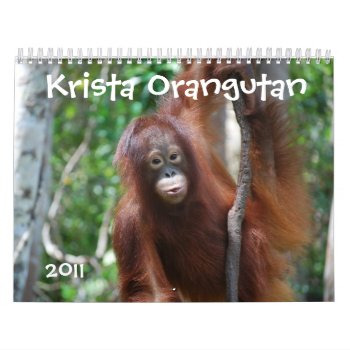 Krista Orangutan Wildlife Charity Calendar by Krista_Orangutan at Zazzle