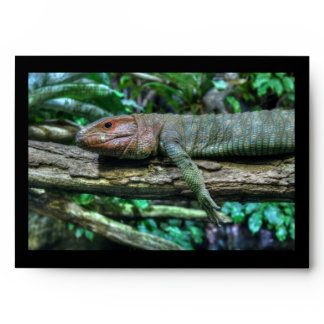 Krokodilteju Envelope