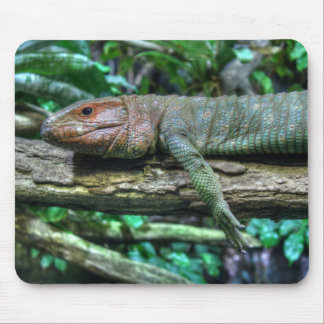 Krokodilteju Mouse Pad