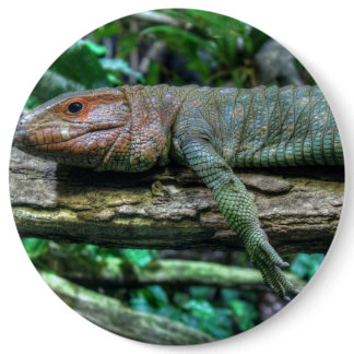 Krokodilteju Pinback Button