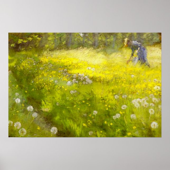 Kroyer's Garden at Skagen Poster (Front)