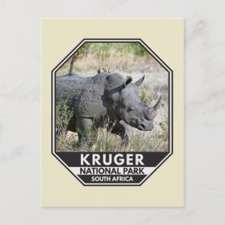 Kruger National Park South Africa Rhino Watercolor Postcard