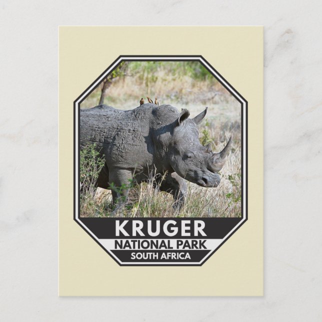 Kruger National Park South Africa Rhino Watercolor Postcard (Front)