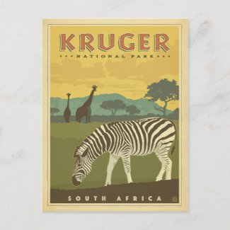 Kruger National Park, South Africa | Zebras & Gira Postcard