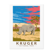 Kruger National Park White Rhinoceros Travel Art Postcard
