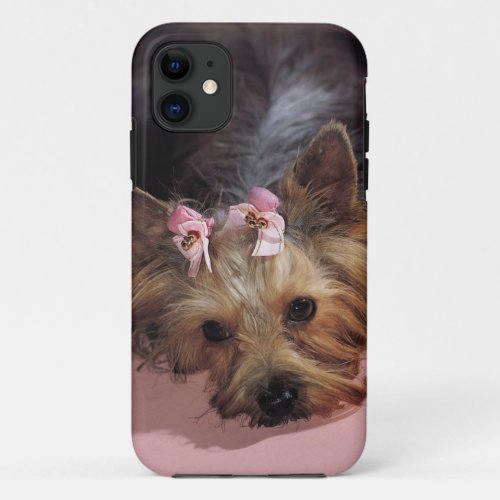 KRW Adorable Yorkie Dog iPhone 5 Cover