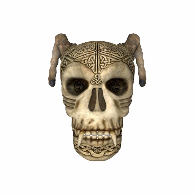 KRW Celtic Skull Photo Sculpture (Front)