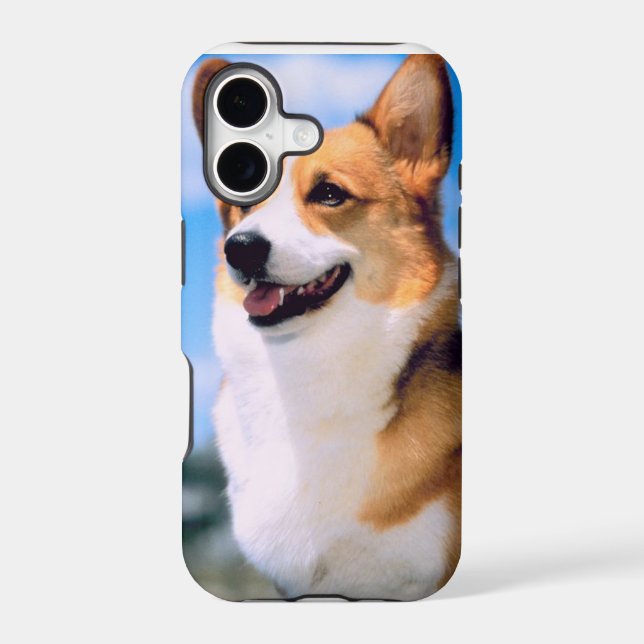 KRW Corgi Dog iPhone 5 Case (Back)
