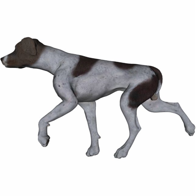 KRW German Shorthaired Pointer Statuette (Front)