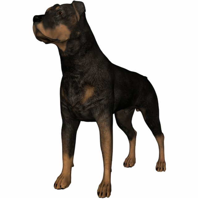 KRW Rottweiler Cutout (Front)