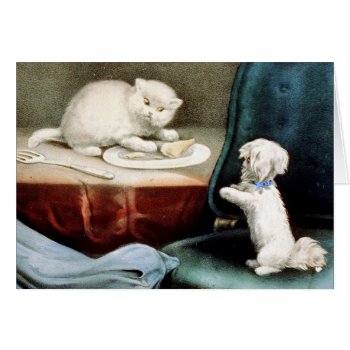 Krw Vintage Fido And Kitty Card by KRWOldWorld at Zazzle