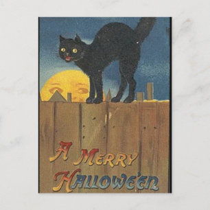 KRW Vintage Halloween Black Cat Postcard