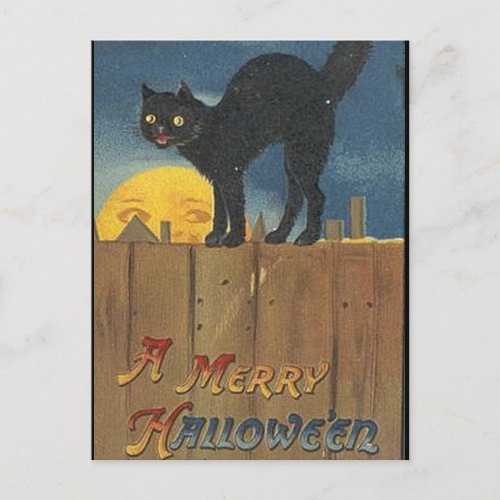 KRW Vintage Halloween Black Cat Postcard