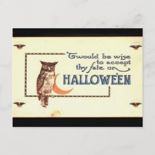 KRW Vintage Halloween Owl Holiday Postcard (Front)