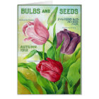 KRW Vintage Perry Seed Catalog 1912 Card