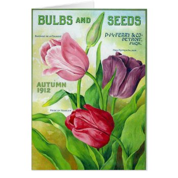 Krw Vintage Perry Seed Catalog 1912 Card by KRWOldWorld at Zazzle