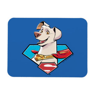 Krypto S-Shield Graphic Magnet
