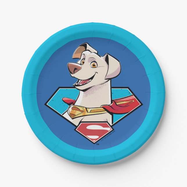 Krypto S-Shield Graphic Paper Plates (Front)