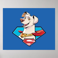 Krypto S-Shield Graphic