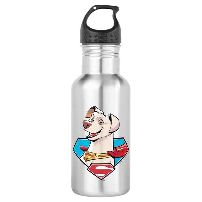 Krypto S-Shield Graphic Stainless Steel Water Bottle (Front)