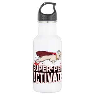 Krypto: Super-Pets Activate! Stainless Steel Water Bottle