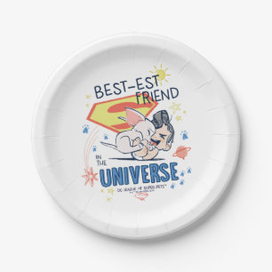 Krypto & Superman: Best-est Friend in the Universe Paper Plates