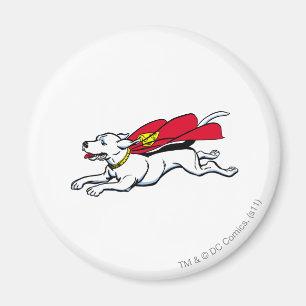Krypto the dog magnet