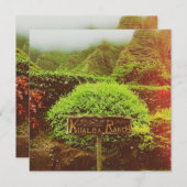 Kualoa Ranch (Front/Back)