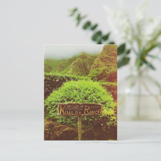 Kualoa Ranch Postcard (Standing Front)