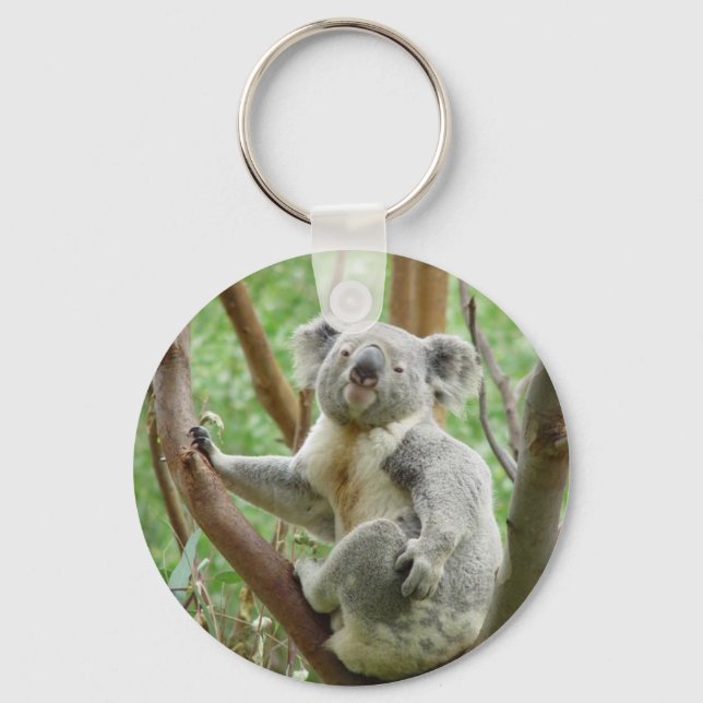 Kuddly Koala Keychain (Front)