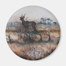 Kudu Bull In Savannah