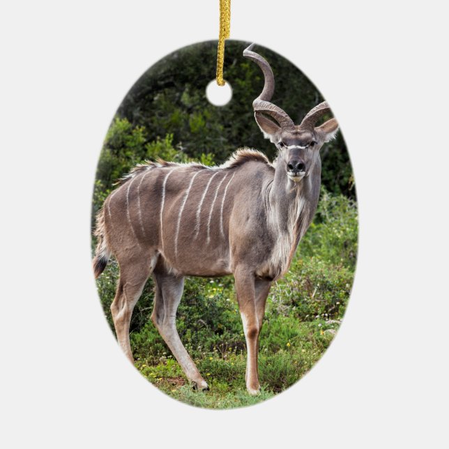 Kudu. Ceramic Ornament (Front)