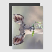 Kudu portrait (Front/Back)