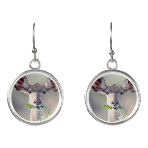 Kudu portrait earrings