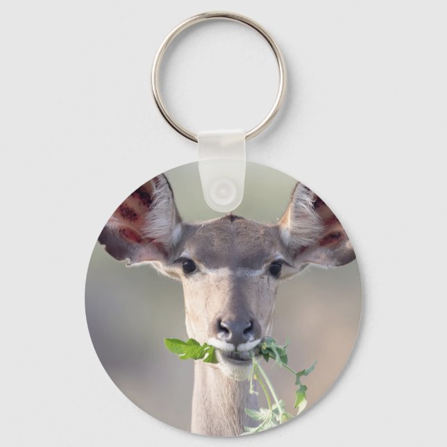 Kudu portrait keychain (Front)