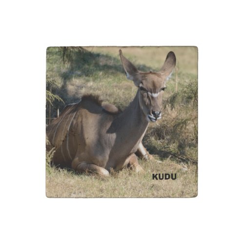 Kudu Stone Magnet