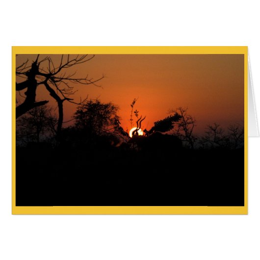 Kudu Sunset Cards (Front Horizontal)