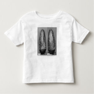 Kudurru Toddler T-shirt