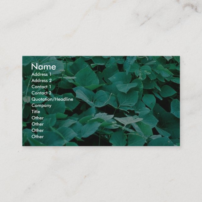 Kudzu Business Card (Front)