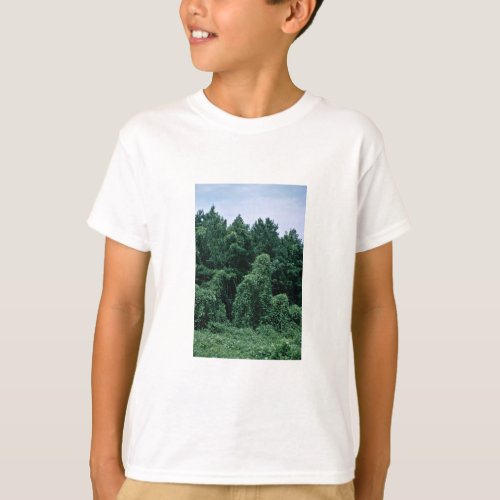 Kudzu Overgrown Forest T_Shirt