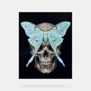 kull and Luna Moth — Memento Mori Impasto Poster