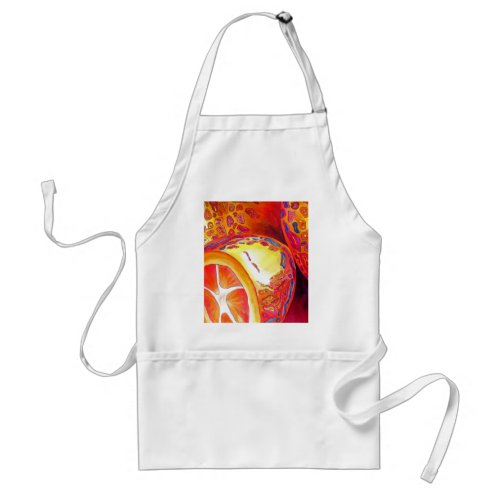 Kumquats orange citrus watercolour fruit art adult apron