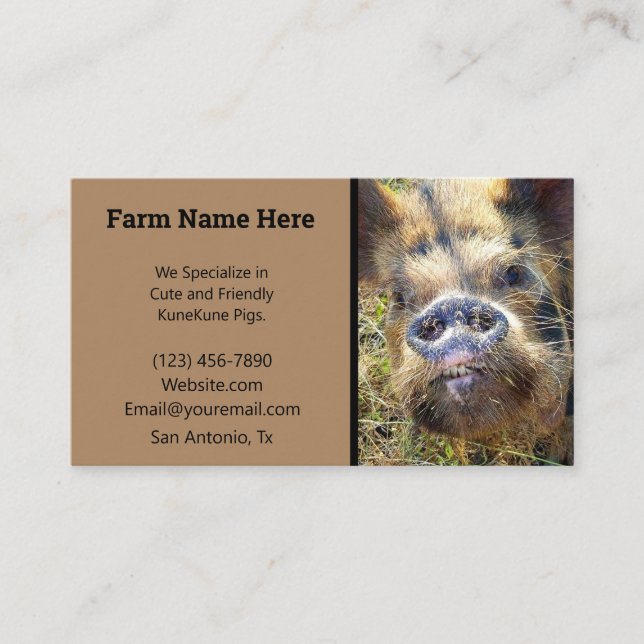 KuneKune Pig Breeder Business Card (Front)
