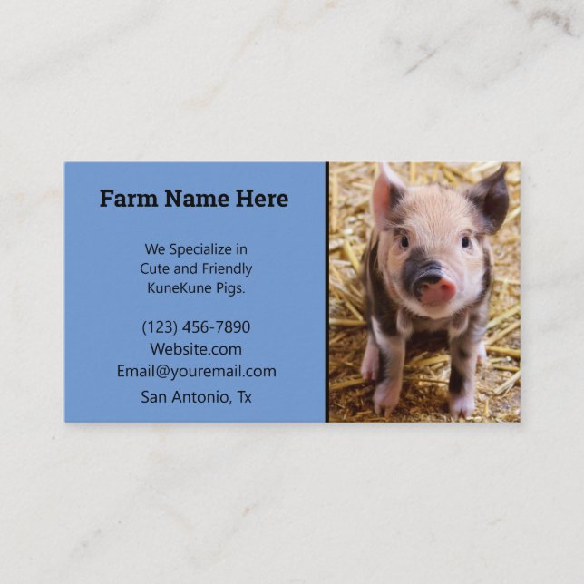 KuneKune Pig Breeder Business Card (Front)